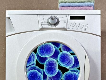 There is biofilm and germs in your washer